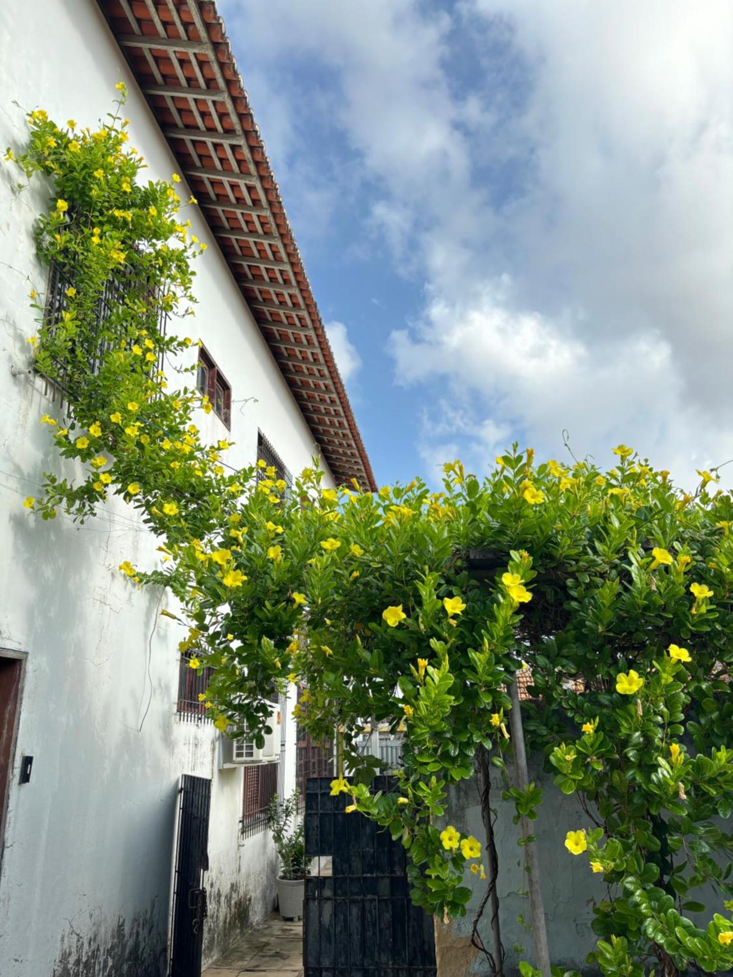 Parnaiba Hostel Kültér fotó
